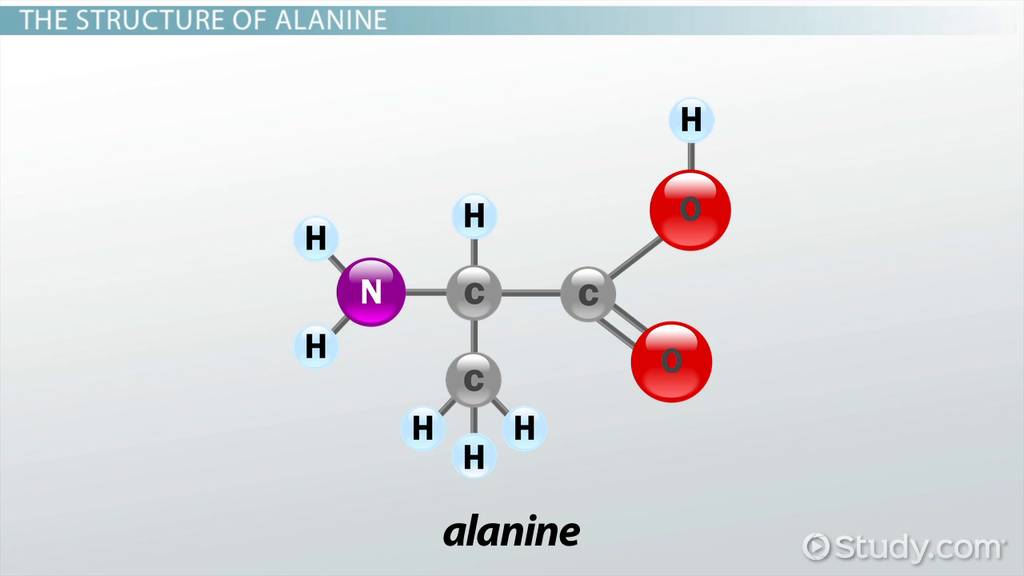 Alanine Structure & Formula Video & Lesson Transcript