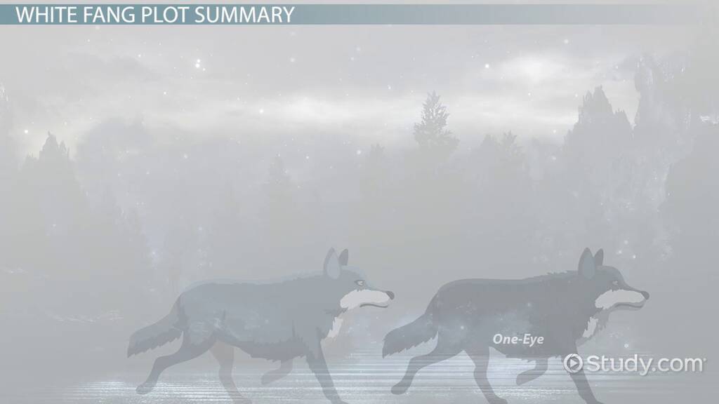 White Fang by Jack London Summary, Themes & Analysis Lesson
