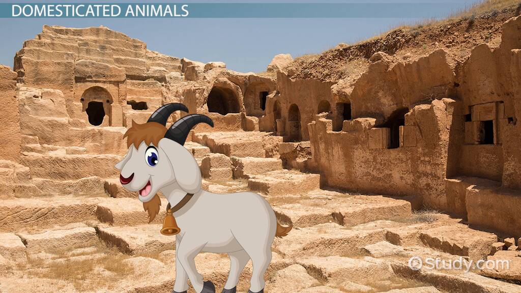 Mesopotamian Animals Wild & Domesticated Video & Lesson Transcript