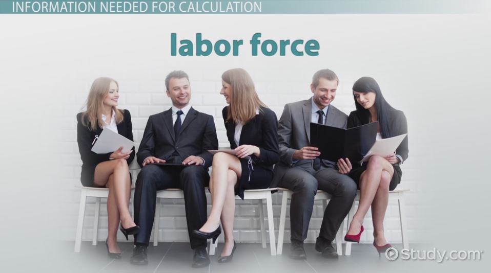 Labor Force Participation Rate Formula & Equation Video & Lesson