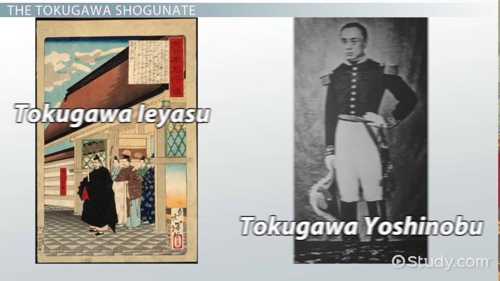 Tokugawa Shogunate Definition, Significance & Facts Lesson