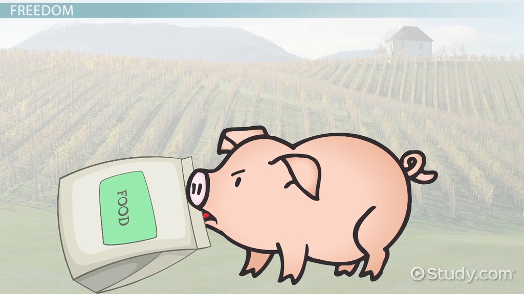 Animal Farm by Orwell Important Quotes & Analysis Lesson