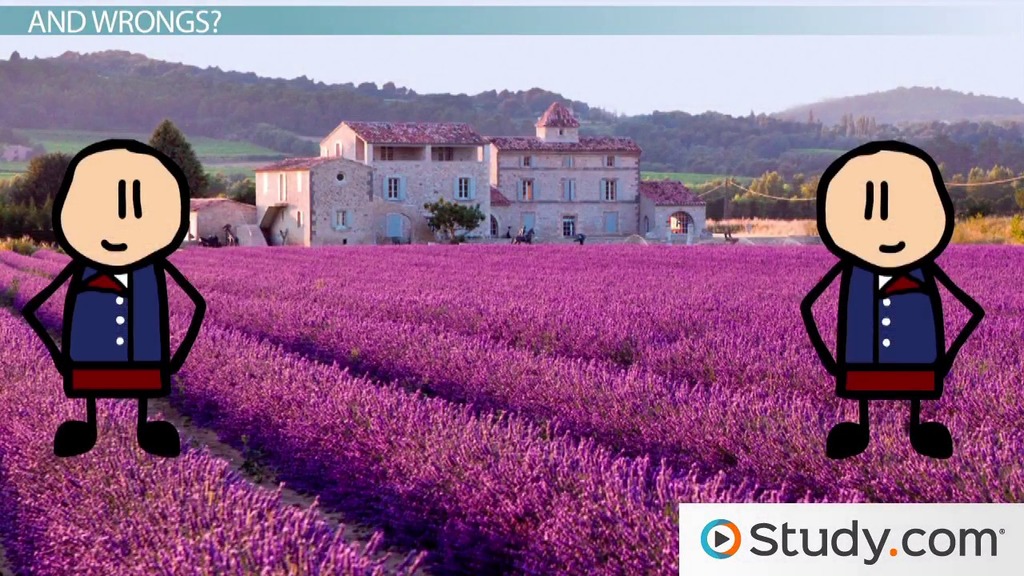 Napoleonic Code Definition, Significance & Examples Lesson