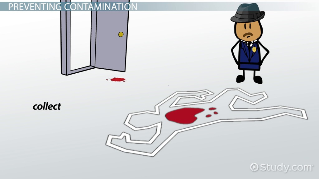 What is the Chain of Custody? Definition, Procedures & Importance