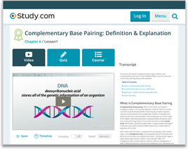 Praxis Physical Education Content Knowledge (5091) Study Guide
