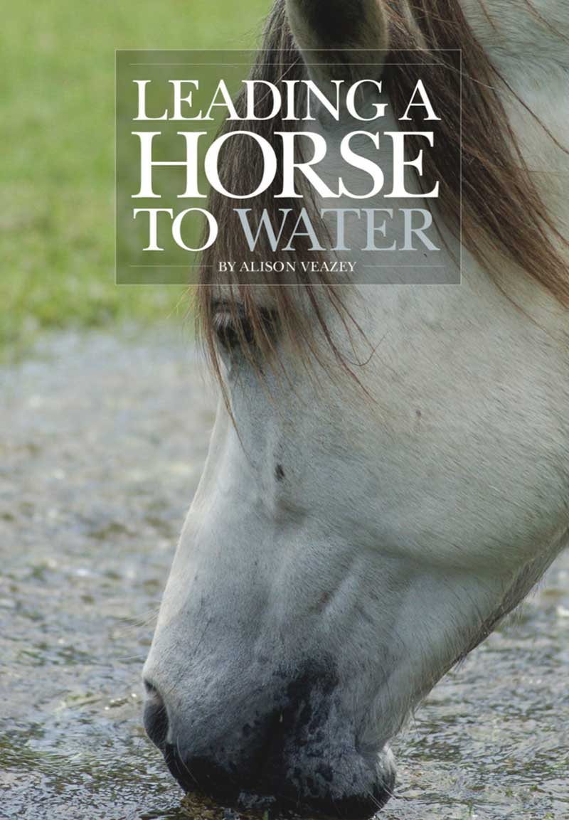 Leading a Horse to Water (Counselor Manual) Think Life Change