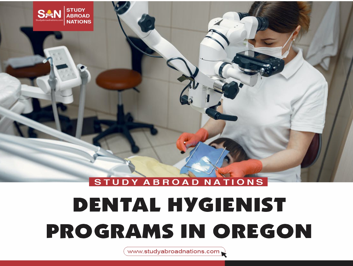 8 Best Dental Hygienist Programs In Oregon 2023