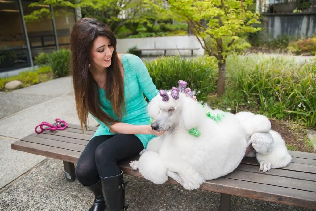 Meet the Professional Dog Handler Studying to Be a Lawyer