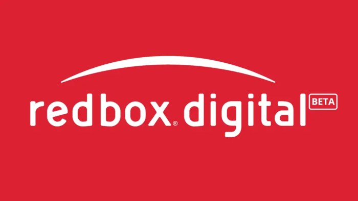 Redbox net worth 2024