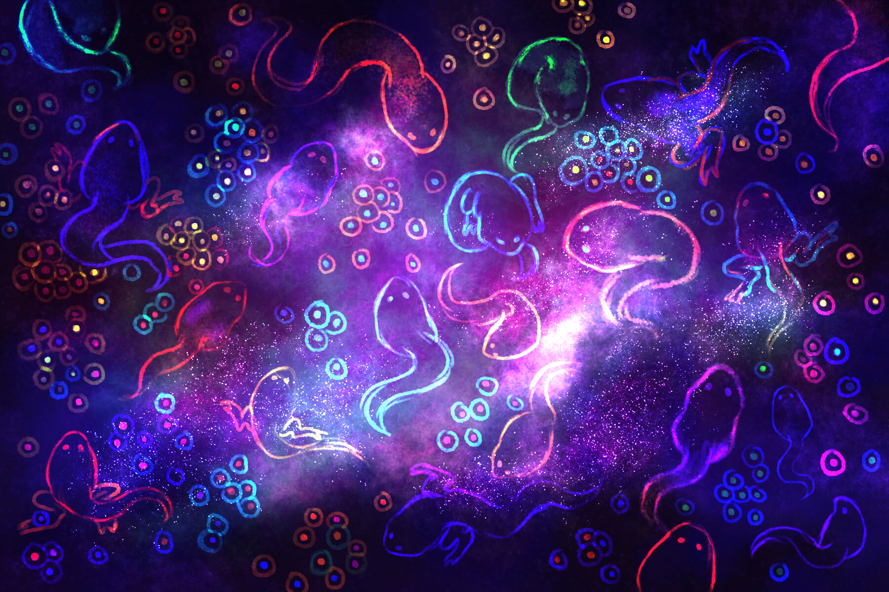 How To Construct a Frog Pond That Benefits Your Garden