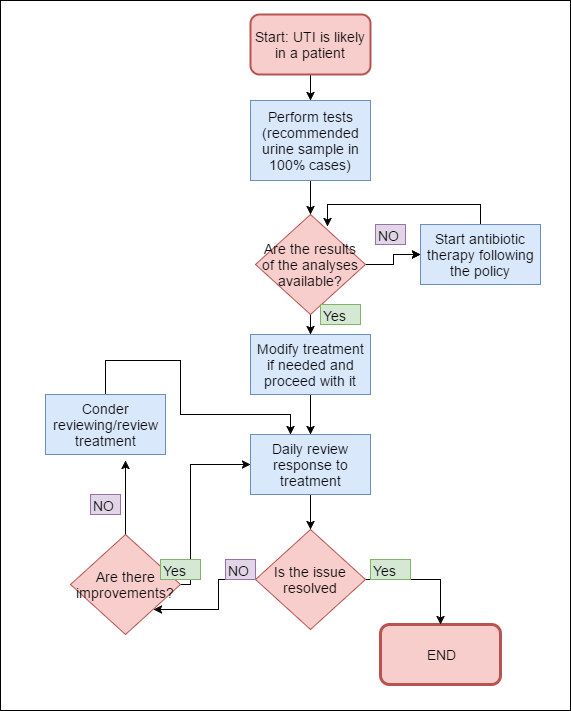 Urinary Tract Infection Management Action Flowchart Free Essay Example