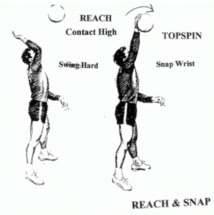 Kinesiology Volleyball Spike Overview Free Essay Example