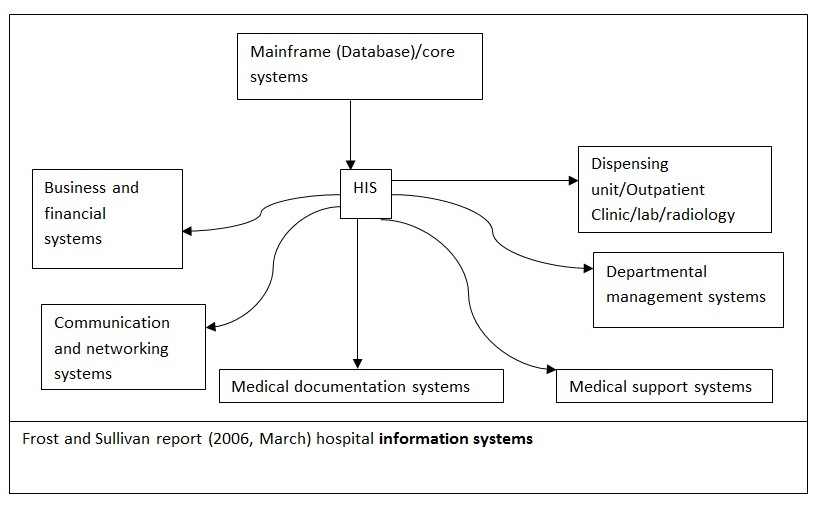 Evolution of Healthcare Information Systems Free Essay Example