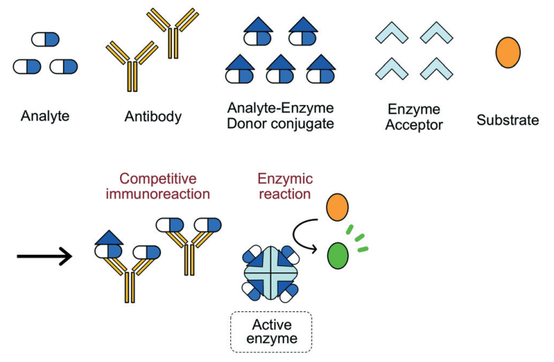 Therapeutic Drug Monitoring (TDM) Assays Free Essay Example