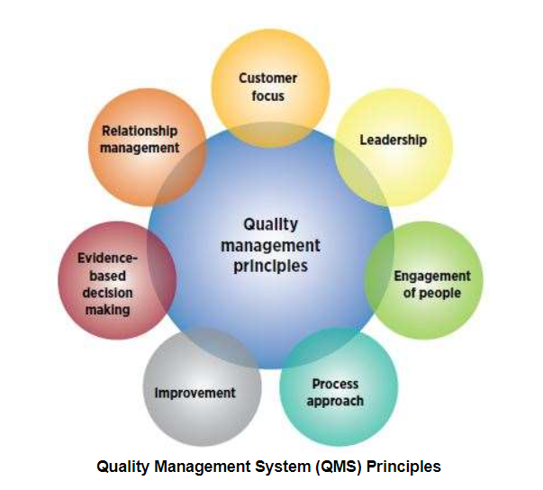 ISO 9001 Company Quality System Free Essay Example