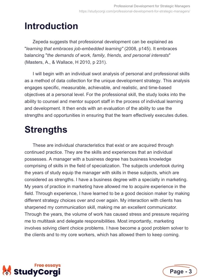 Professional Development for Strategic Managers Free Essay Example