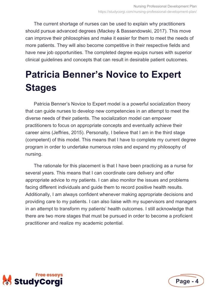 Nursing Professional Development Plan Free Essay Example