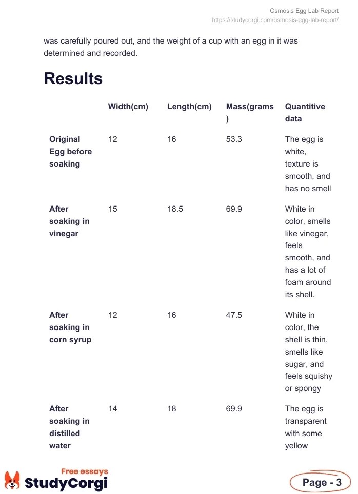 Osmosis Egg Lab Report Free Essay Example