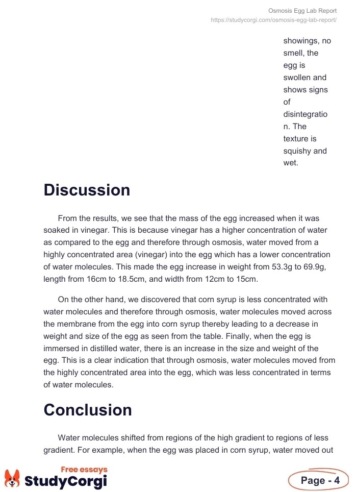 Osmosis Egg Lab Report Free Essay Example