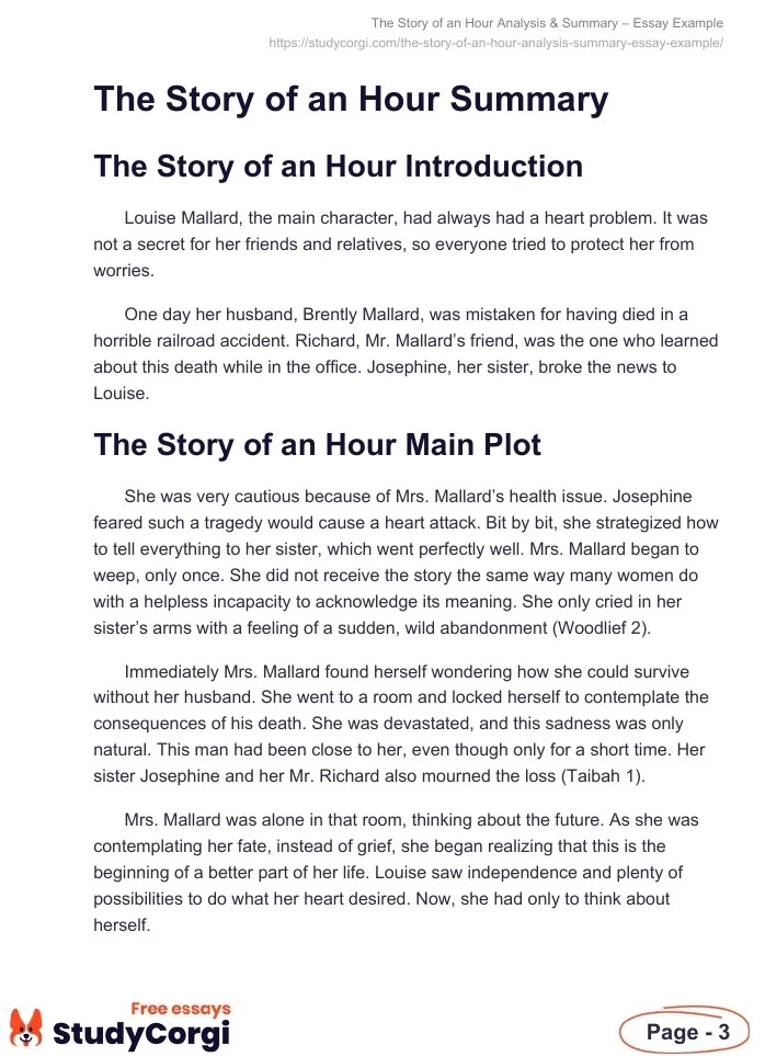 The Story of an Hour Analysis & Summary Essay Example