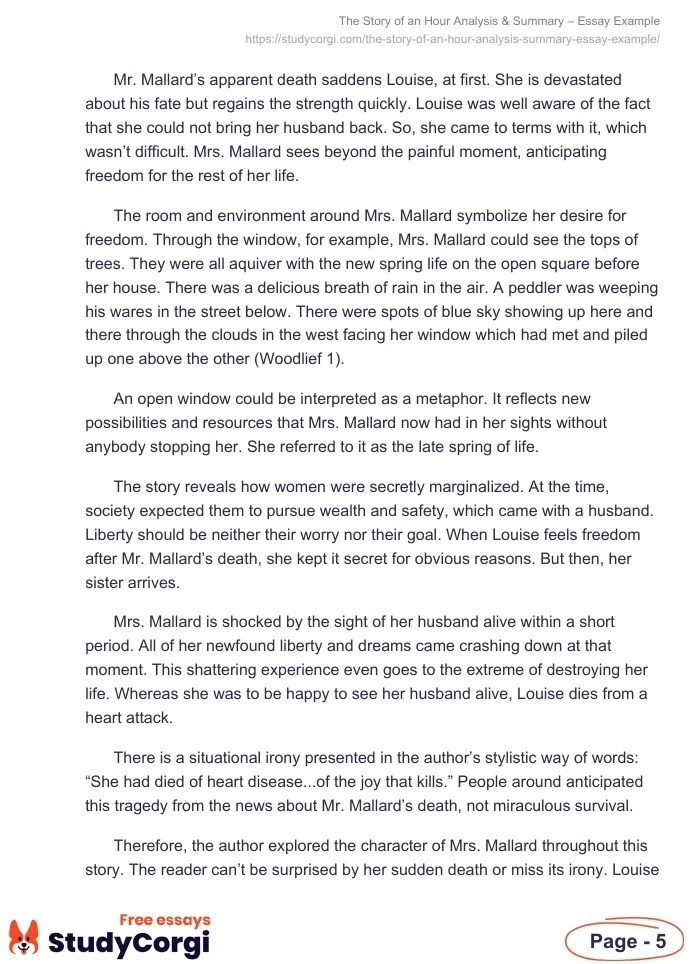 The Story of an Hour Analysis & Summary Essay Example