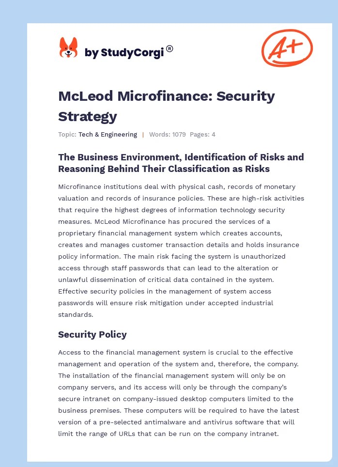 McLeod Microfinance Security Strategy Free Essay Example