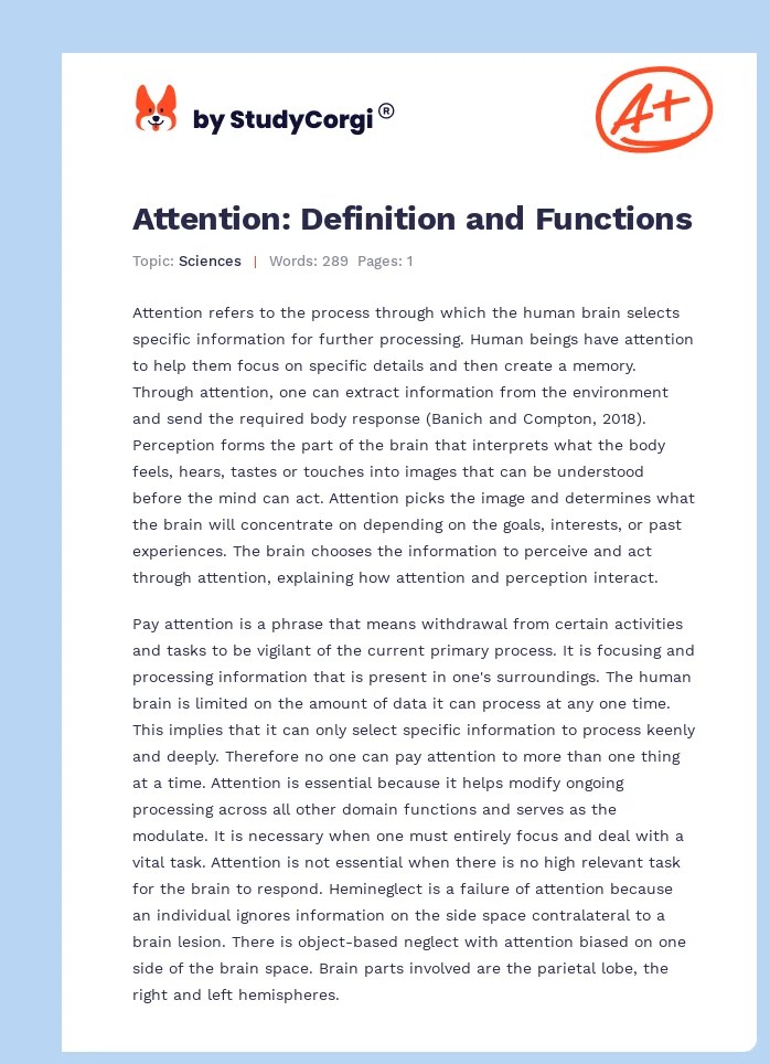 Attention Definition and Functions Free Essay Example