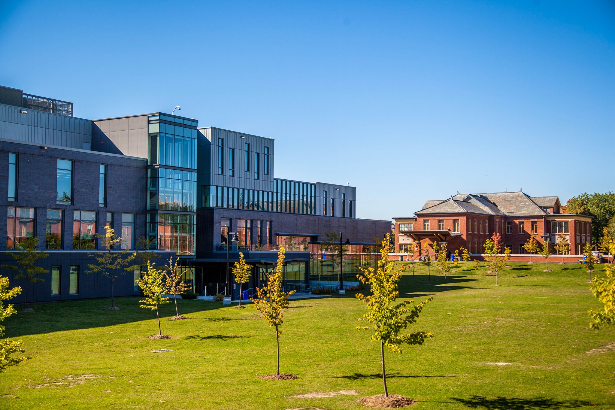 Humber College StudyDIY