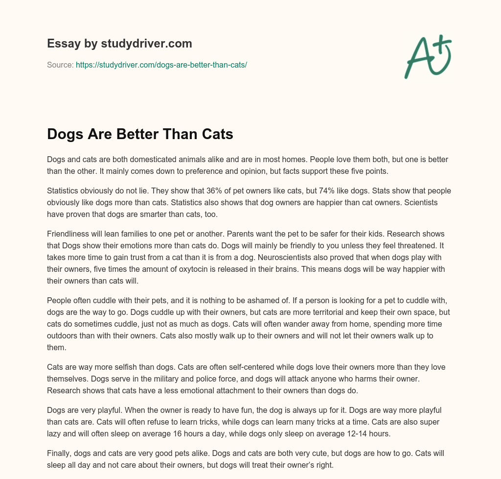 Dogs Are Better Than Cats Free Essay Example