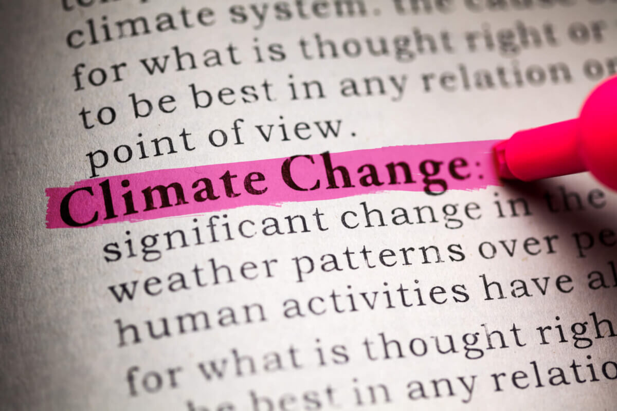 Rise of European Carnivores Driven by Climate Change, Not Competition, Study Finds