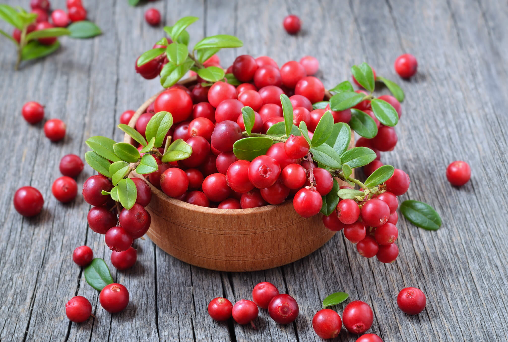 Best Cranberry Supplements Top 5 Products Most By Experts