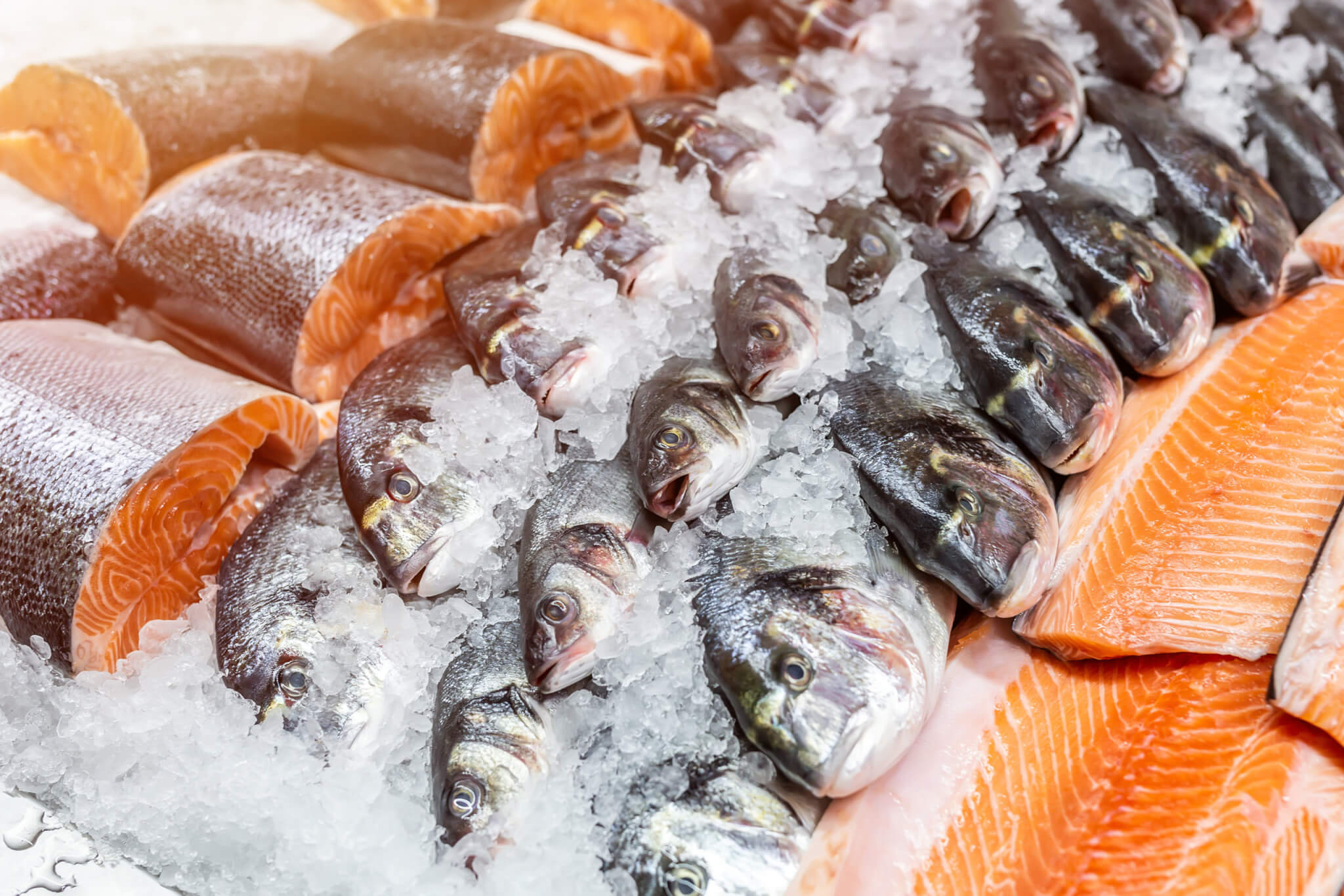 Eating more fish may raise your risk for developing skin cancer Trendradars Latest