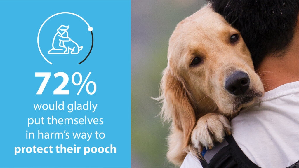 True best friends Most dog owners say they'd risk their lives to save