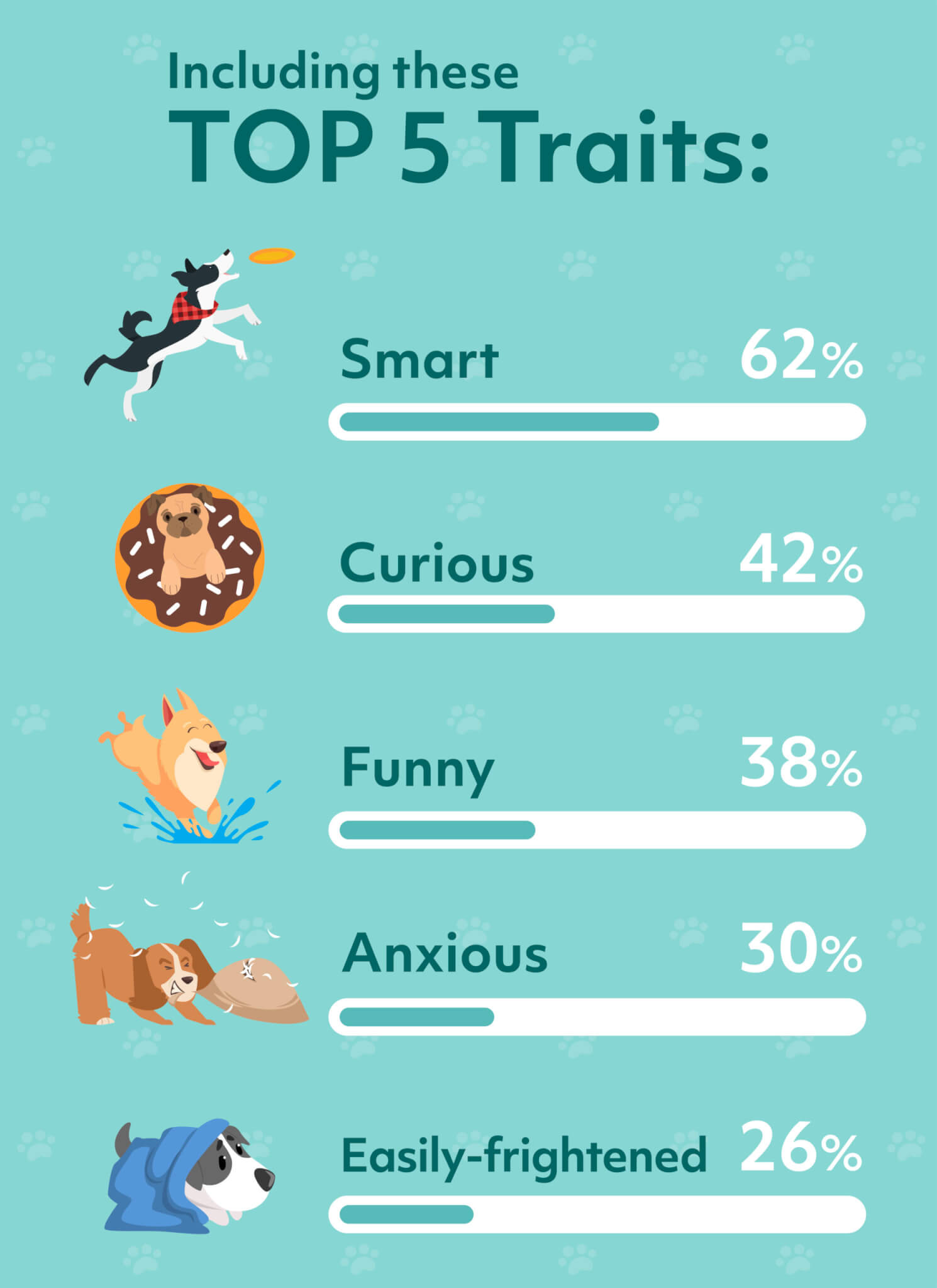 Is your pet an extension of yourself? Most pet owners think they share