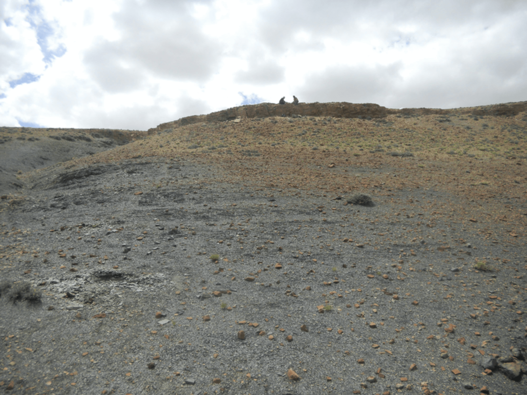 Ancient pollen grains acting like 'sunscreen' may have contributed to