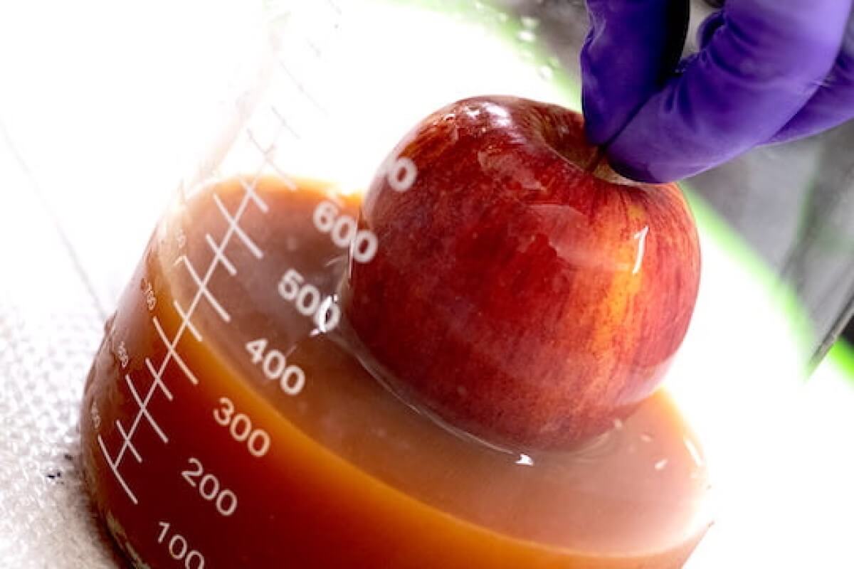 Fruit that doesn't spoil? Scientists create protective coating to