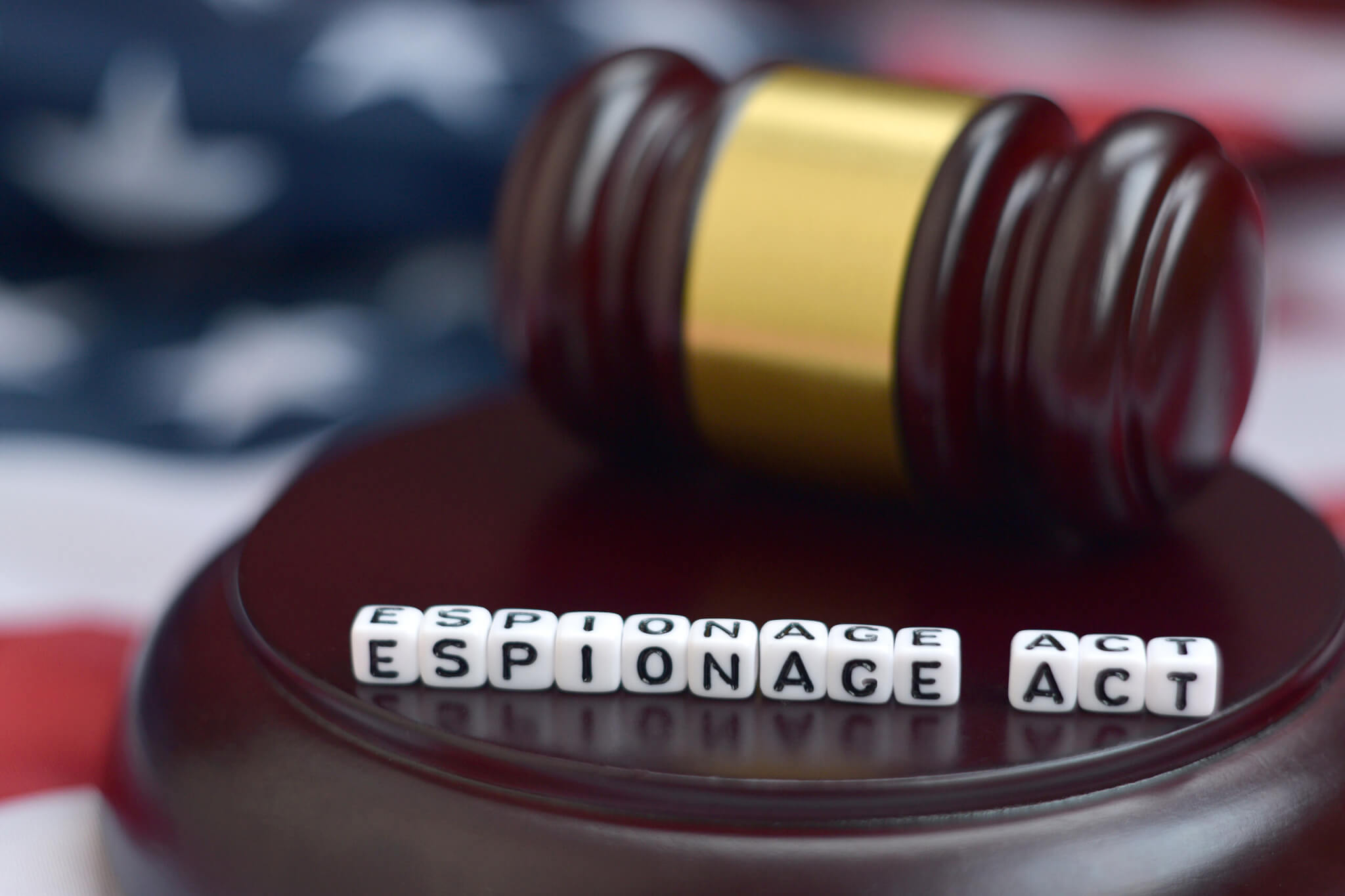 Espionage Act Sentence