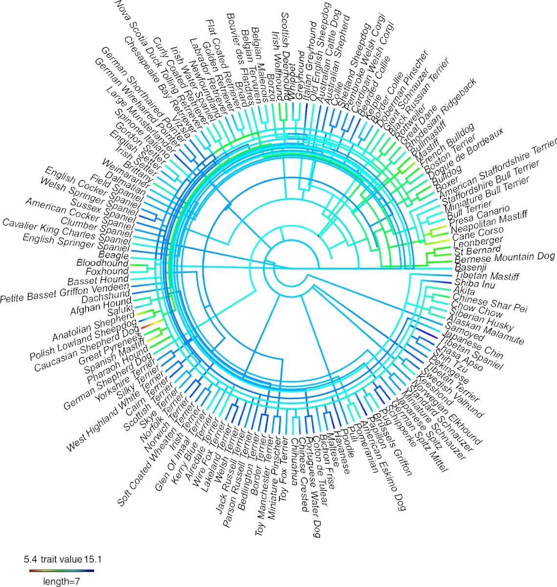 Which Dogs Live Longest? Study Of 155 Breeds Yields Surprising Results