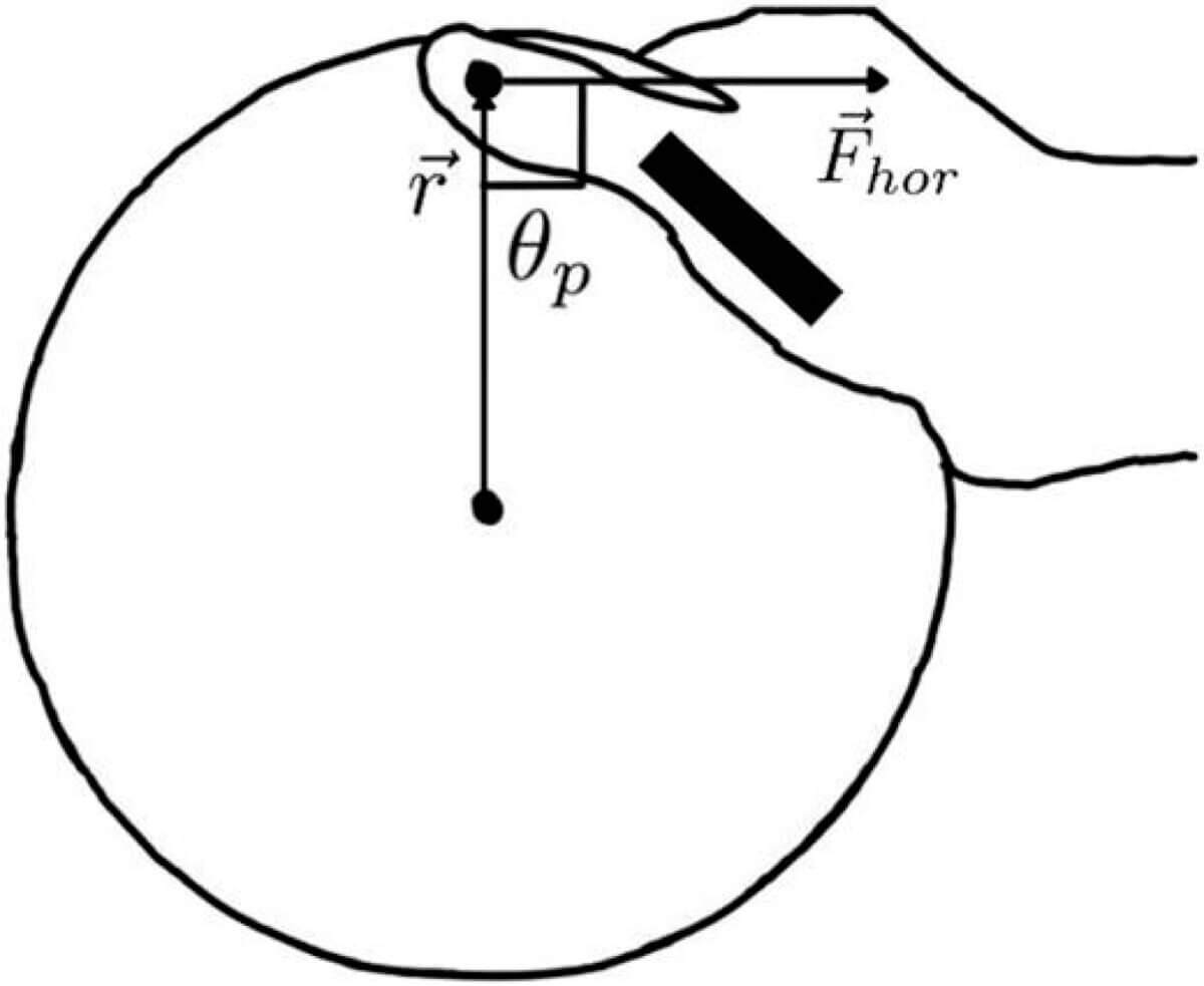 Be a disc golf star! Scientists reveal the perfect way to throw a frisbee