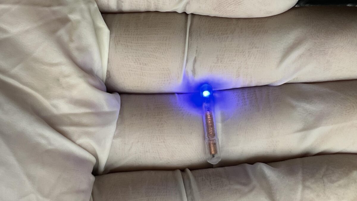 First Swallowable Light Capsule For Rats Could Transform Gut Research