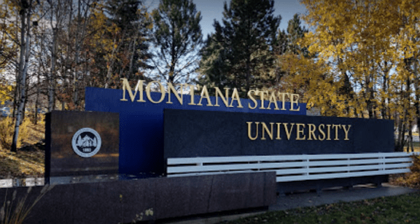 Montana State University (MSU) Presidential Scholarship