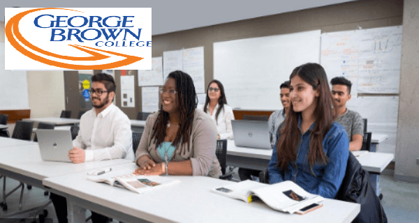 Canada Brown College International Awards and Scholarships 2021 Angazetu Portal