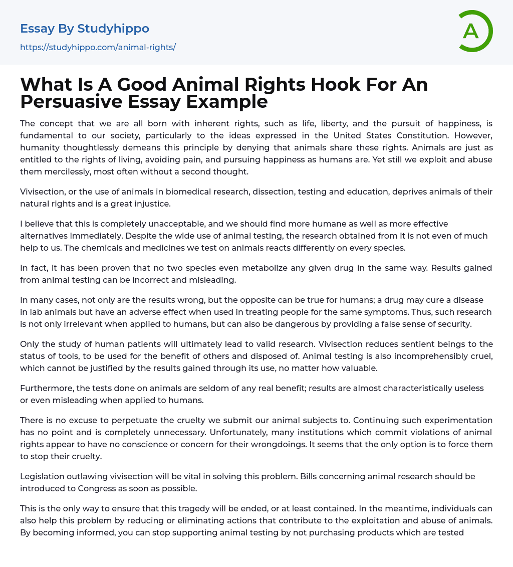 What Is A Good Animal Rights Hook For An Persuasive Essay Example