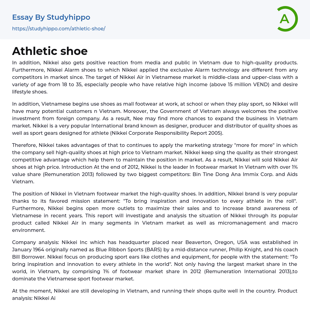 Athletic shoe Essay Example