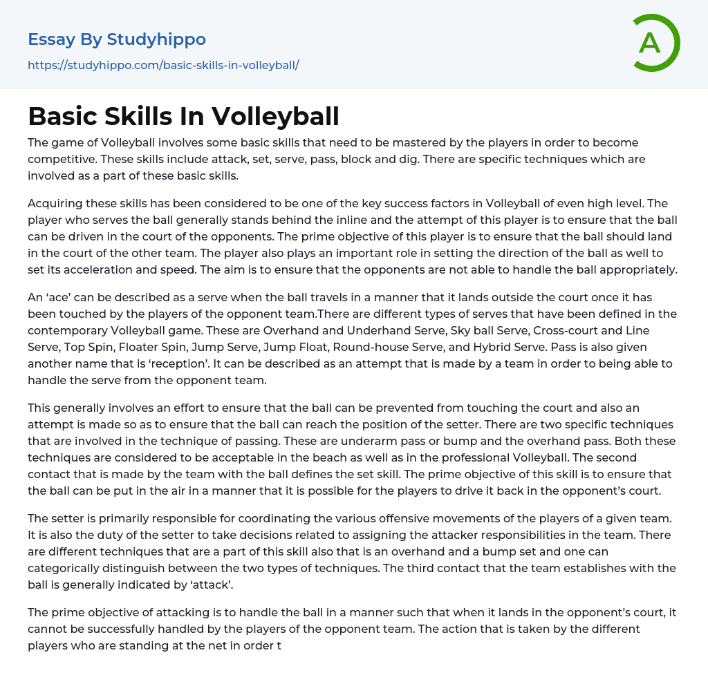 Basic Skills In Volleyball Essay Example