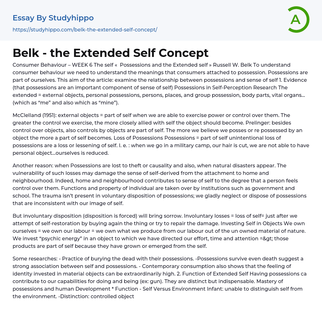 Belk the Extended Self Concept Essay Example