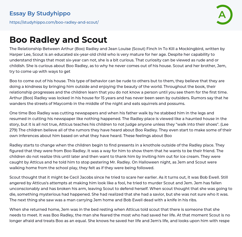 Boo Radley and Scout Essay Example