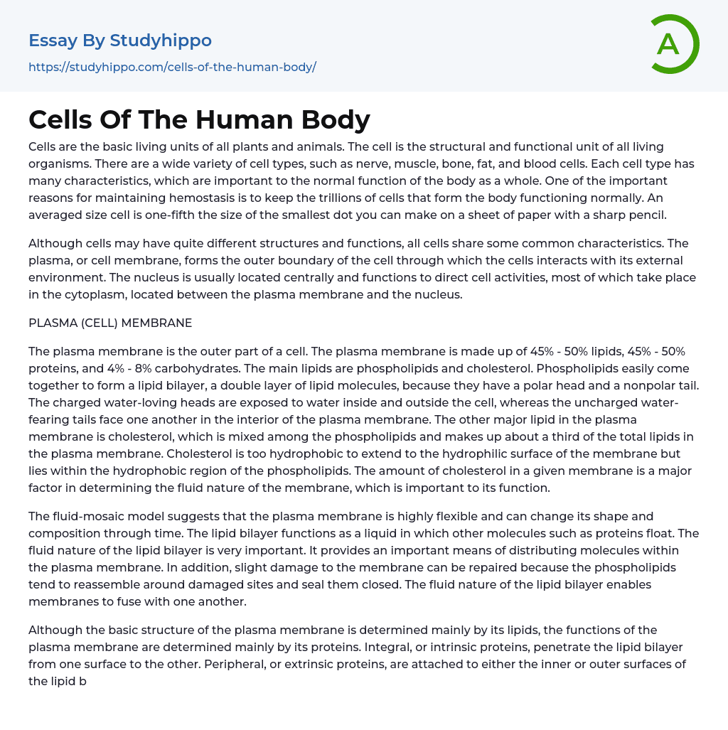 Cells Of The Human Body Essay Example