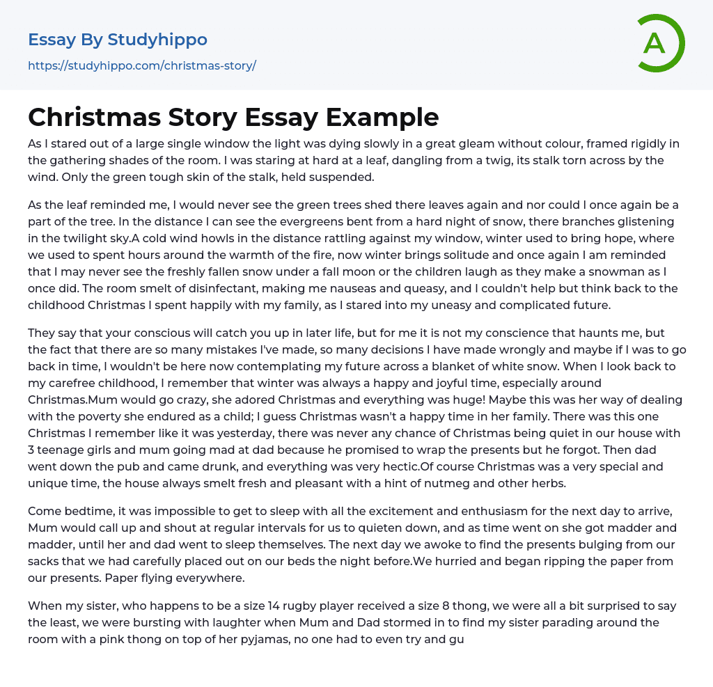 Christmas Story Essay Example