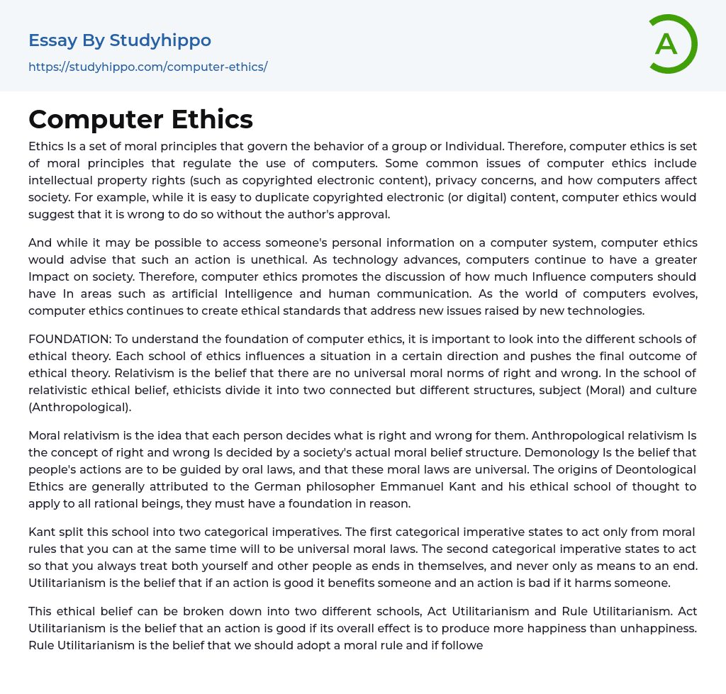 Computer Ethics Essay Example